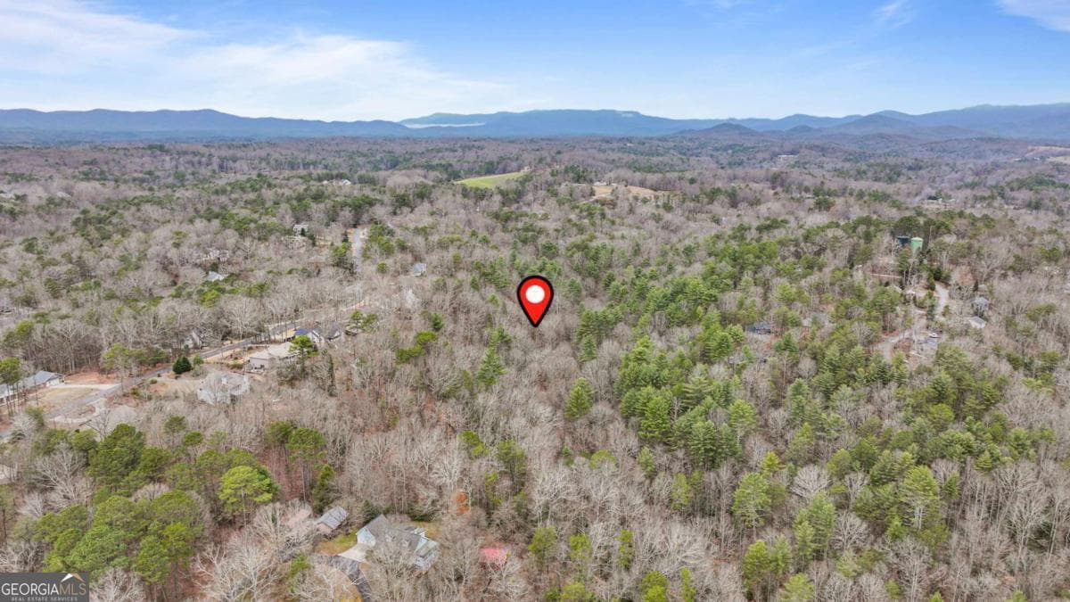 unimproved land for sale at 0 Timberland Drive, Ellijay, GA 30540 — photo 6