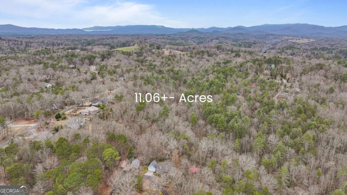 unimproved land for sale at 0 Timberland Drive, Ellijay, GA 30540 — photo 3