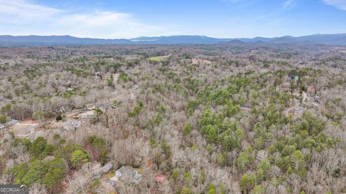 unimproved land for sale at 0 Timberland Drive, Ellijay, GA 30540 — photo 5