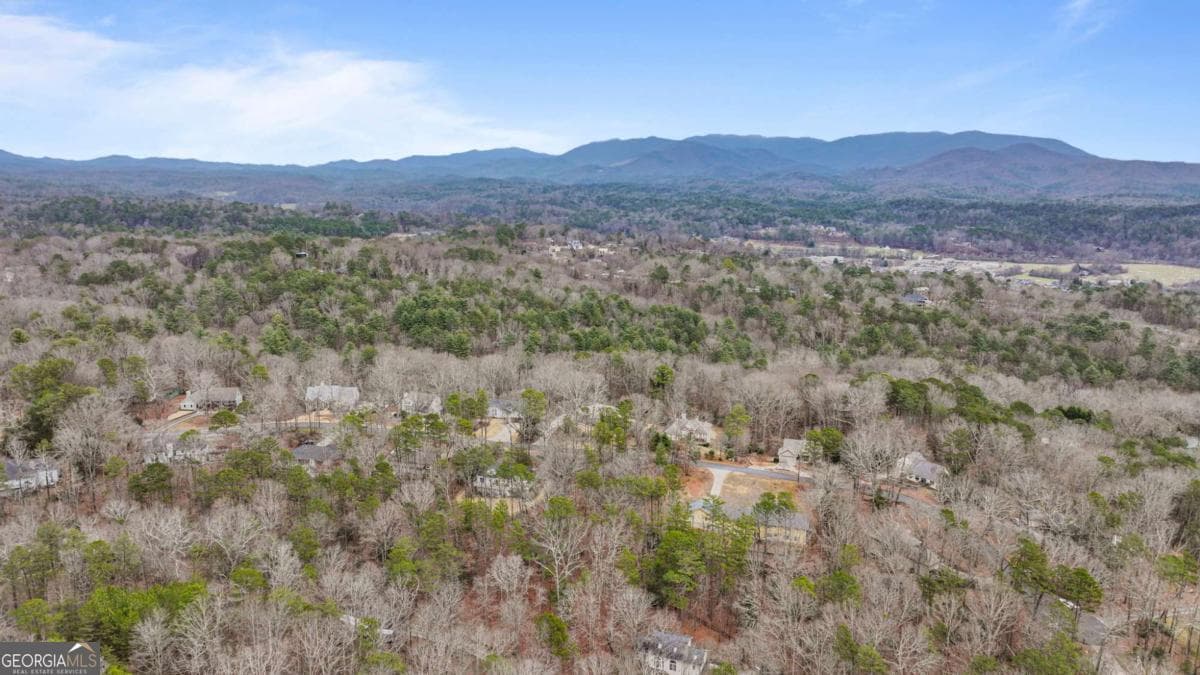unimproved land for sale at 0 Timberland Drive, Ellijay, GA 30540 — photo 10