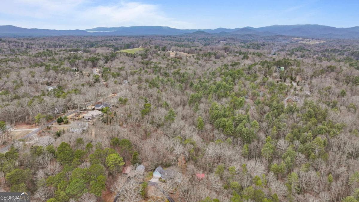 unimproved land for sale at 0 Timberland Drive, Ellijay, GA 30540 — photo 4