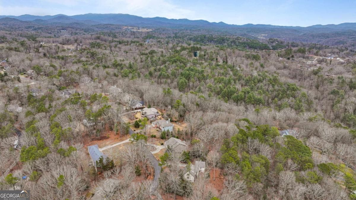 unimproved land for sale at 0 Timberland Drive, Ellijay, GA 30540 — photo 8