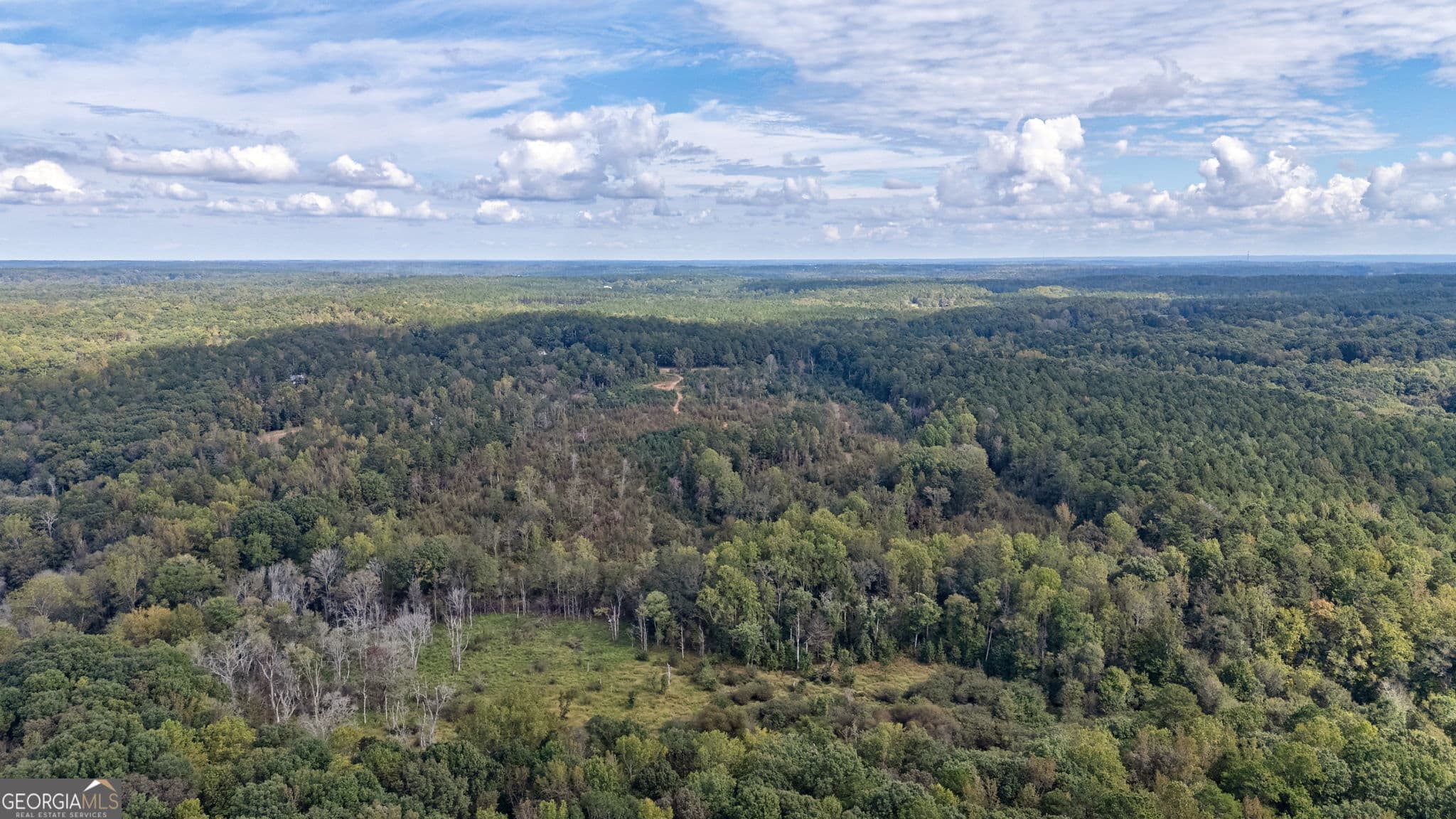 unimproved land for sale at 0 Old Salem Road TRACT 3, Watkinsville, GA 30677 — photo 2