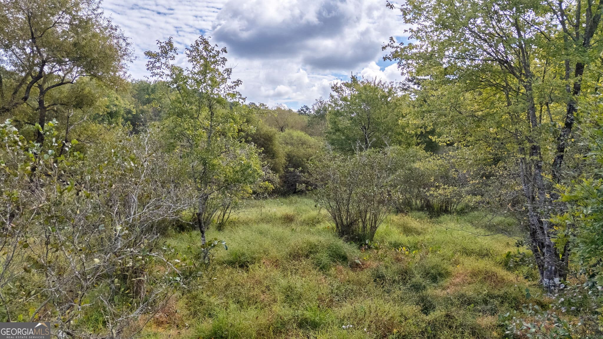 unimproved land for sale at 0 Old Salem Road TRACT 3, Watkinsville, GA 30677 — photo 6