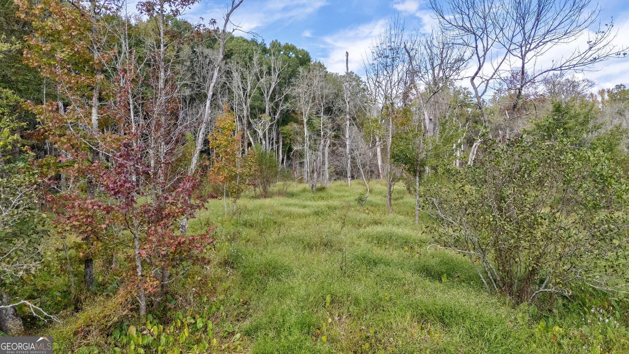 unimproved land for sale at 0 Old Salem Road TRACT 3, Watkinsville, GA 30677 — photo 7