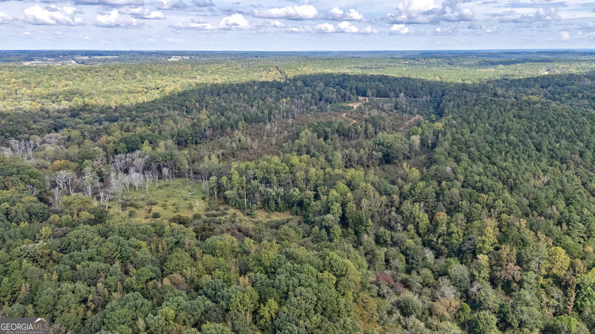 unimproved land for sale at 0 Old Salem Road TRACT 3, Watkinsville, GA 30677 — photo 3