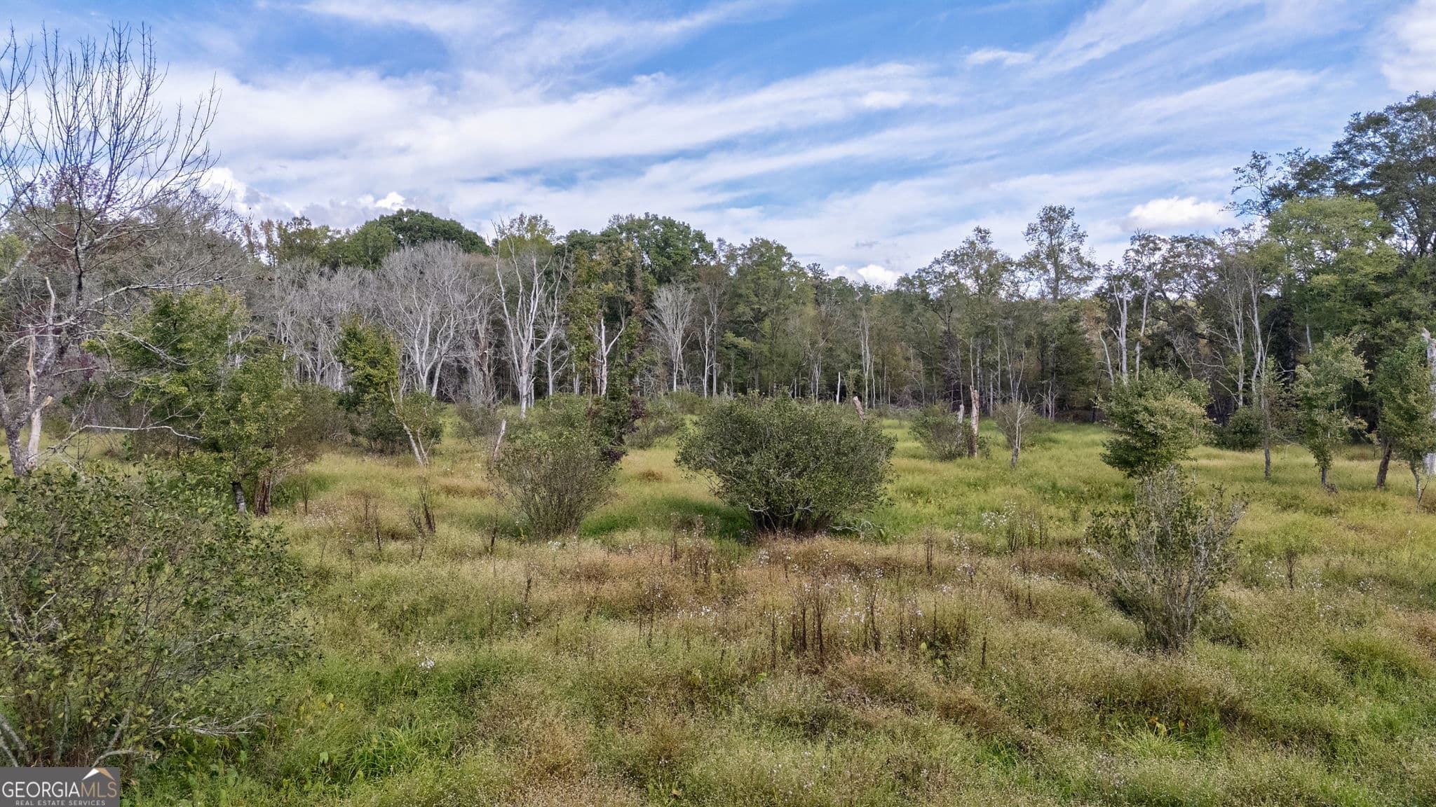 unimproved land for sale at 0 Old Salem Road TRACT 3, Watkinsville, GA 30677 — photo 5