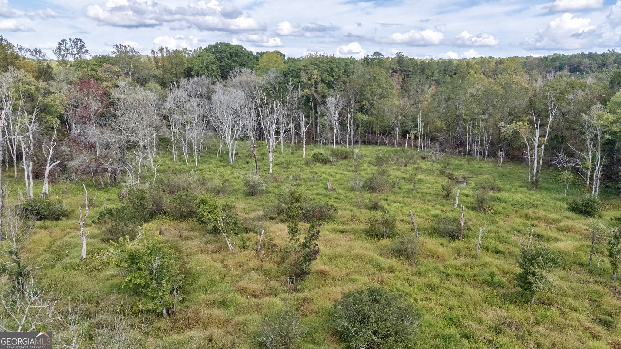 unimproved land for sale at 0 Old Salem Road TRACT 3, Watkinsville, GA 30677 — photo 4