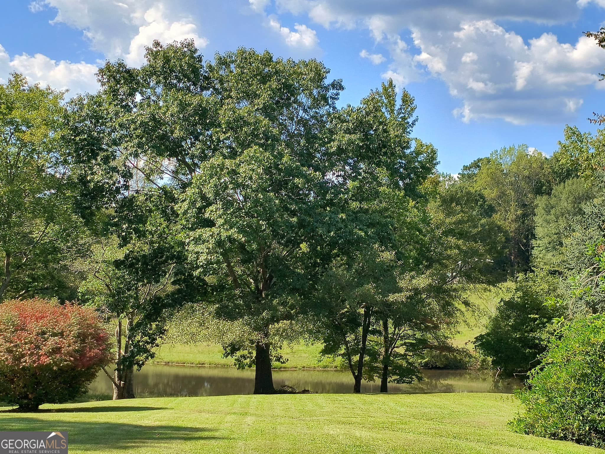 4 bedroom, 2.5 bathroom, 3,200 sq ft single family residence for sale at 252 Moore Street, Whitesburg, GA 30185 — photo 4