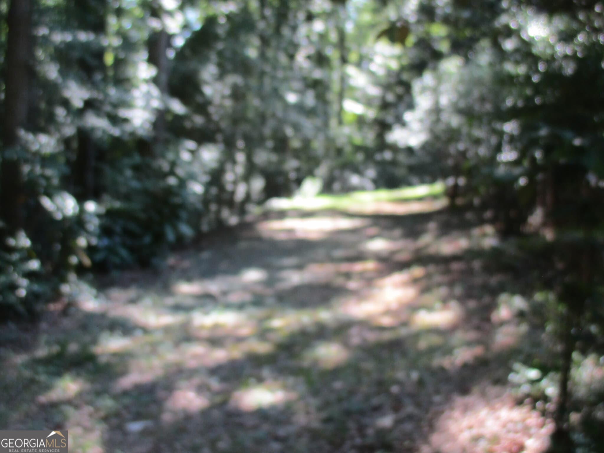 3 bedroom, 2 bathroom, 1,722 sq ft single family residence for sale at 20352 Highway 441, Commerce, GA 30529 — photo 9