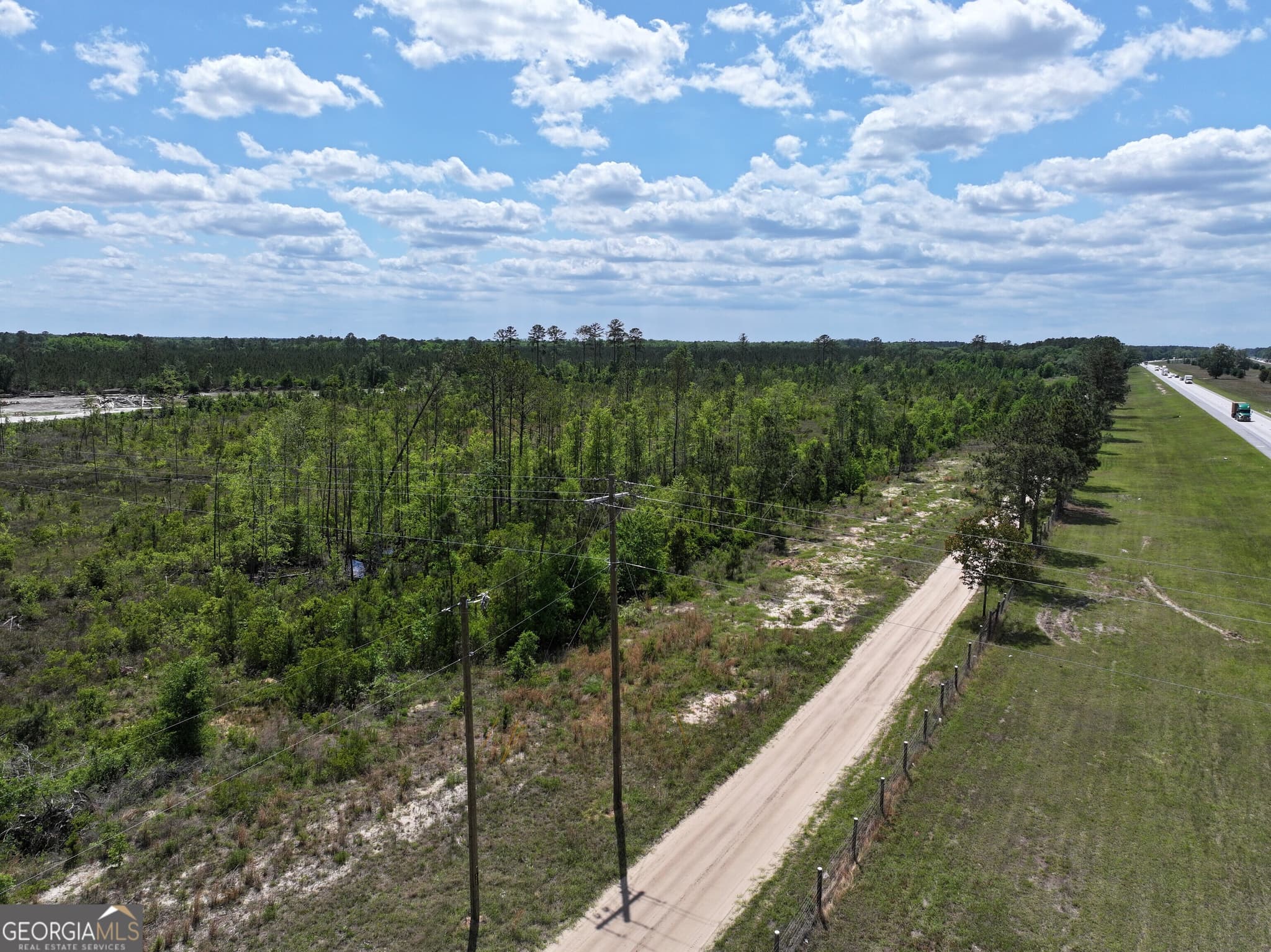 unimproved land for sale at 0 New Town Road, Pembroke, GA 31321 — photo 5
