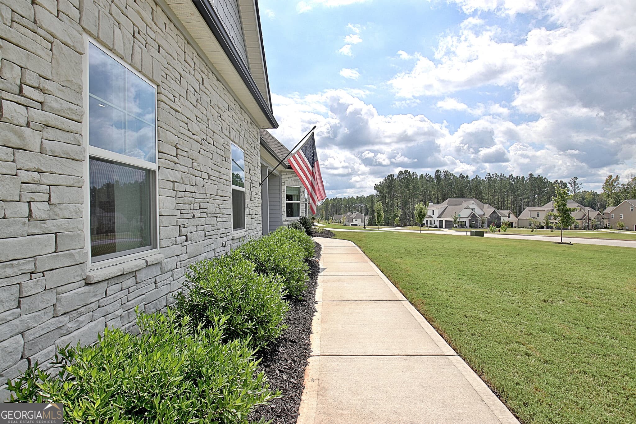 4 bedroom, 3.5 bathroom, 3,741 sq ft single family residence for sale at 40 Tattersall Way, Senoia, GA 30276 — photo 5