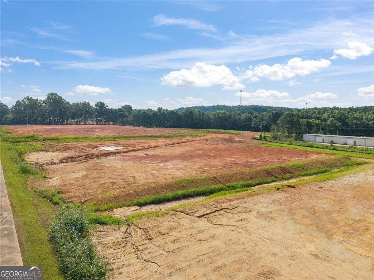 commercial for sale at LOT 9 Town Creek Boulevard, Greensboro, GA 30642 — photo 9
