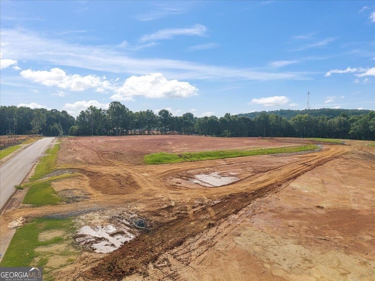 commercial for sale at LOT 9 Town Creek Boulevard, Greensboro, GA 30642 — photo 10