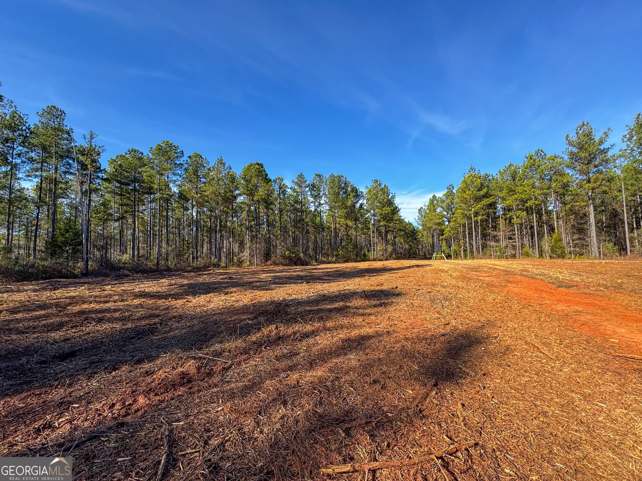 residential lot for sale at 3644-3792 Fortune Hole Road, Hamilton, GA 31811 — photo 2