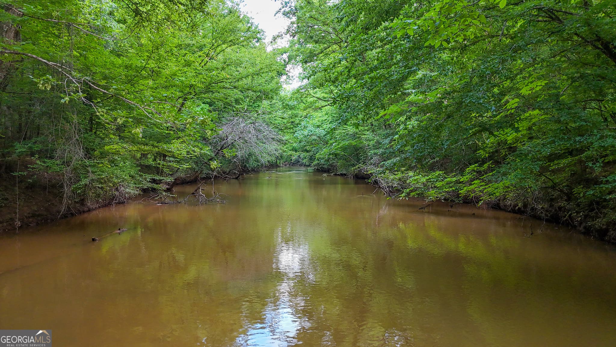 residential lot for sale at 3644-3792 Fortune Hole Road, Hamilton, GA 31811 — photo 6