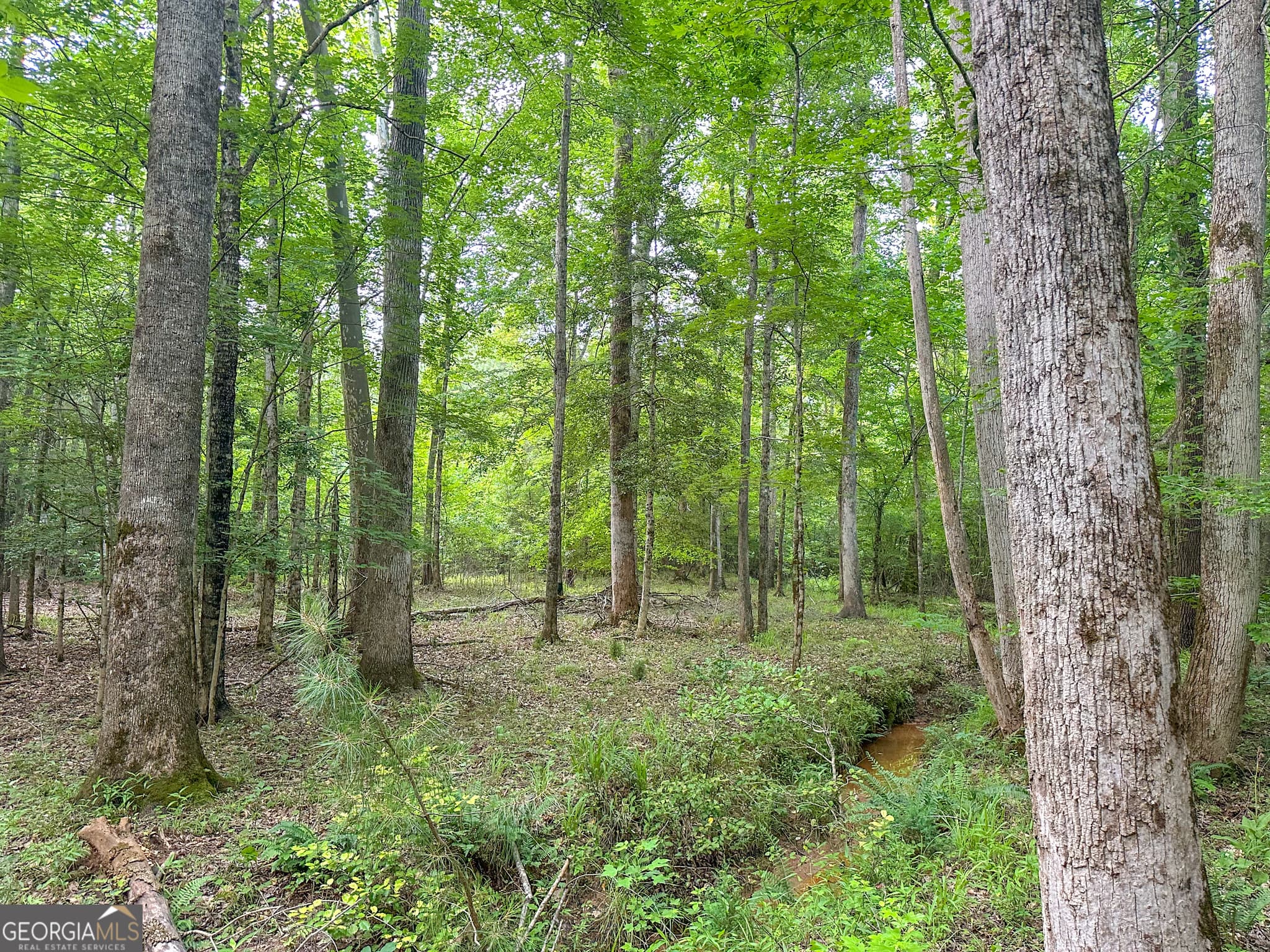 residential lot for sale at 3644-3792 Fortune Hole Road, Hamilton, GA 31811 — photo 7