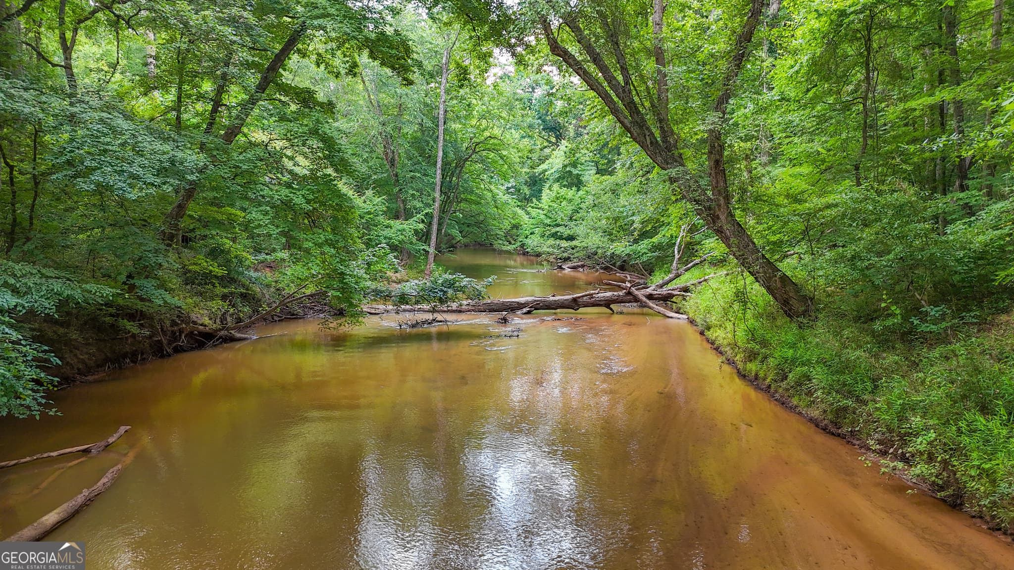 residential lot for sale at 3644-3792 Fortune Hole Road, Hamilton, GA 31811 — photo 3