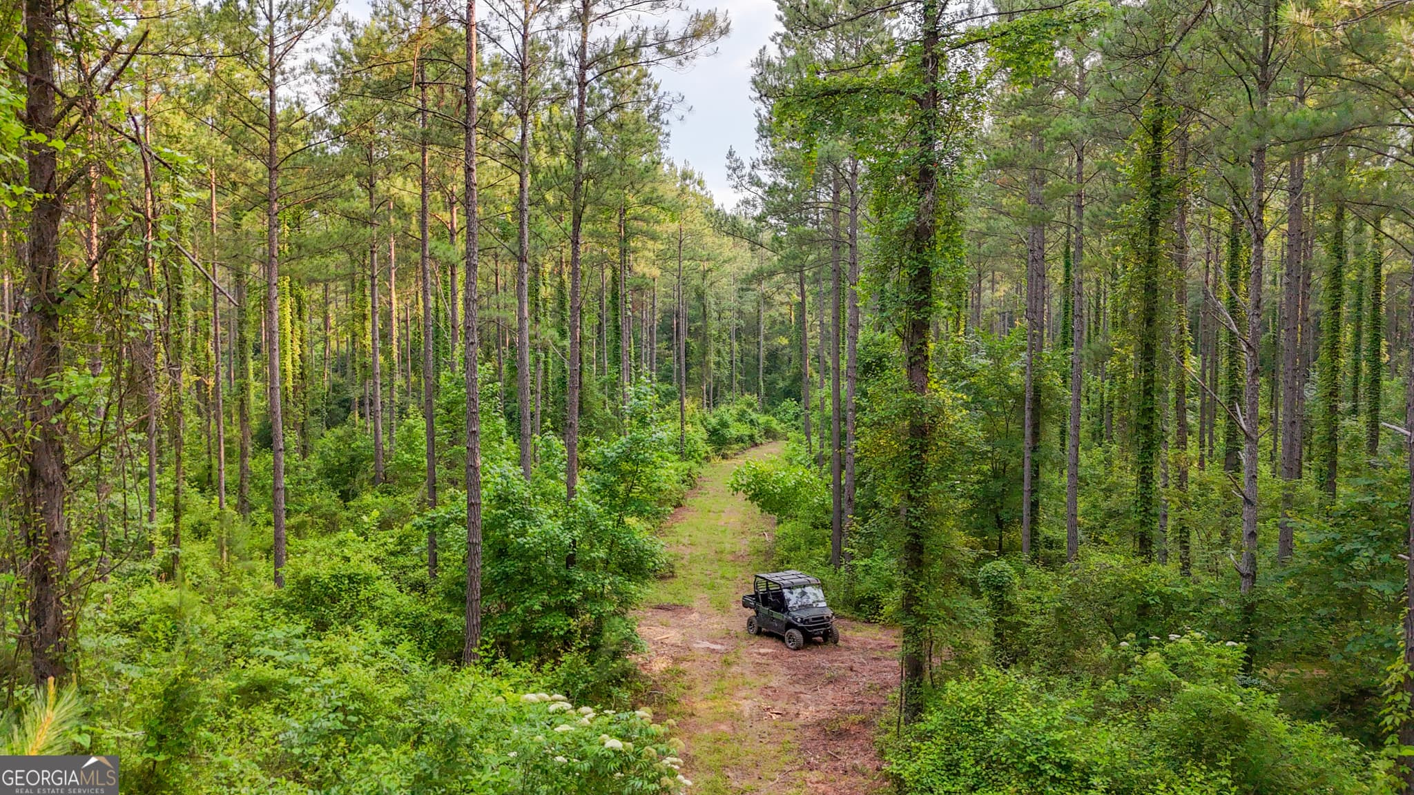 residential lot for sale at 3644-3792 Fortune Hole Road, Hamilton, GA 31811 — photo 1 of 41