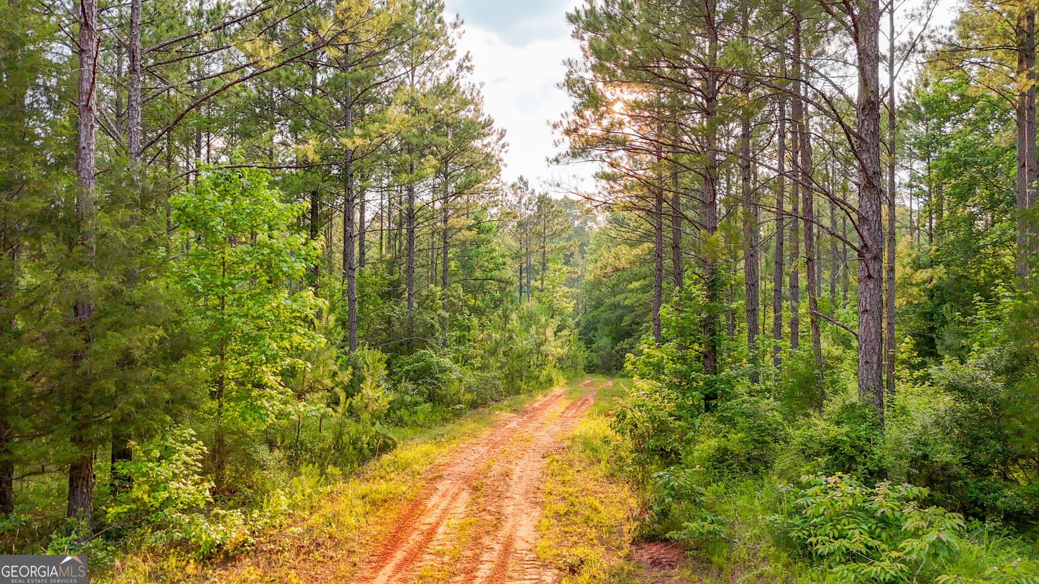 residential lot for sale at 3644-3792 Fortune Hole Road, Hamilton, GA 31811 — photo 5