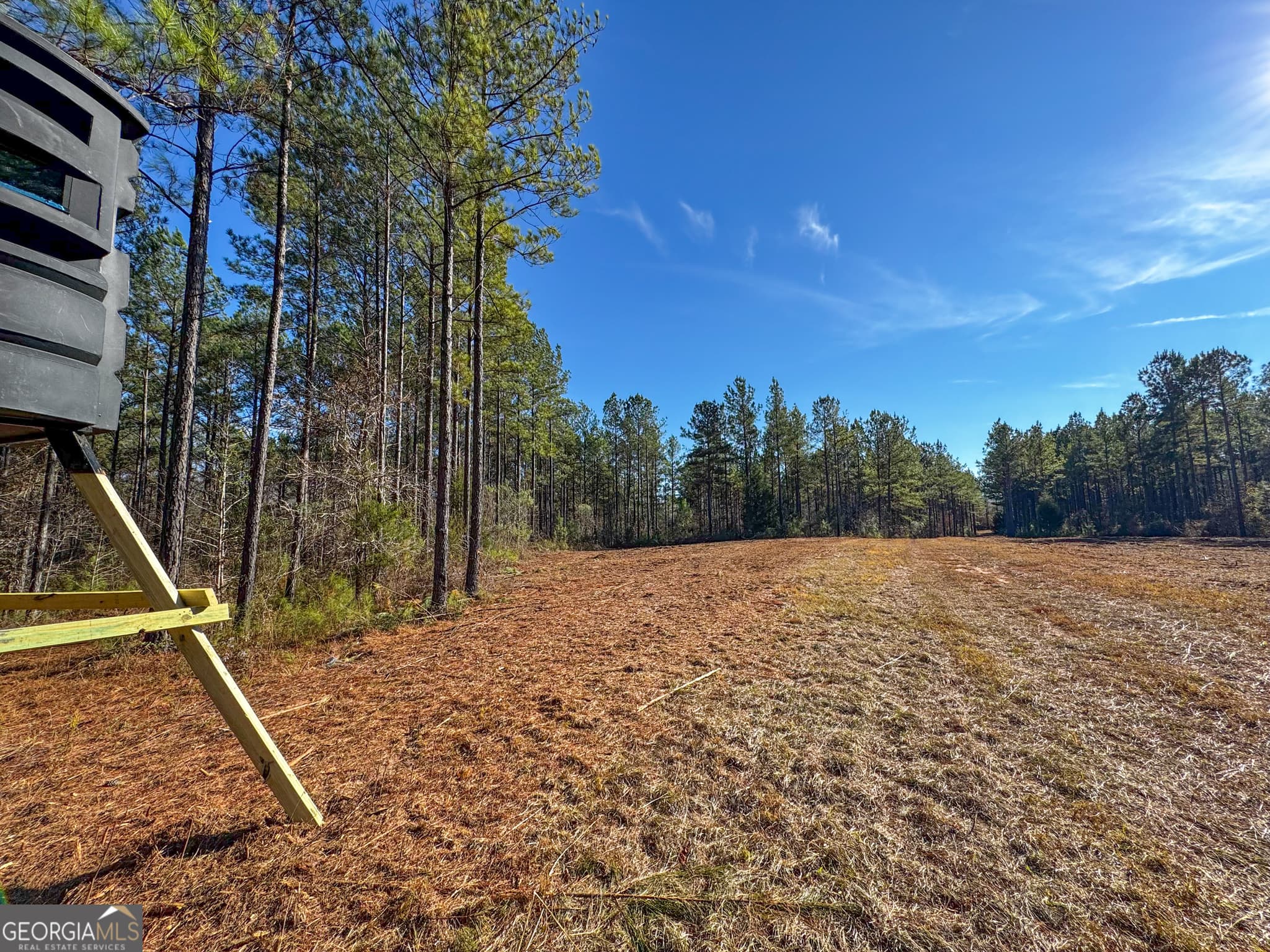 residential lot for sale at 3644-3792 Fortune Hole Road, Hamilton, GA 31811 — photo 9