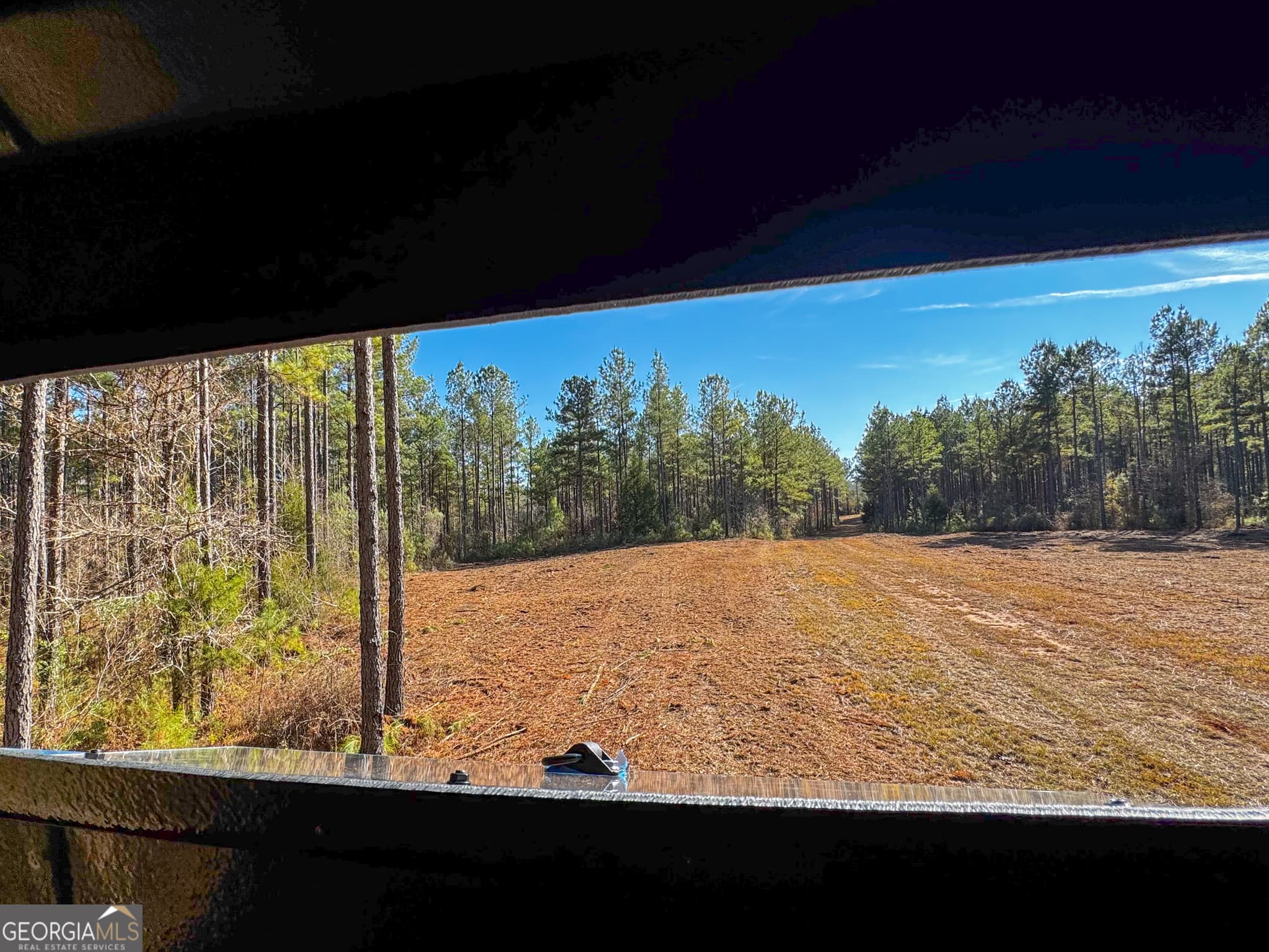 residential lot for sale at 3644-3792 Fortune Hole Road, Hamilton, GA 31811 — photo 10