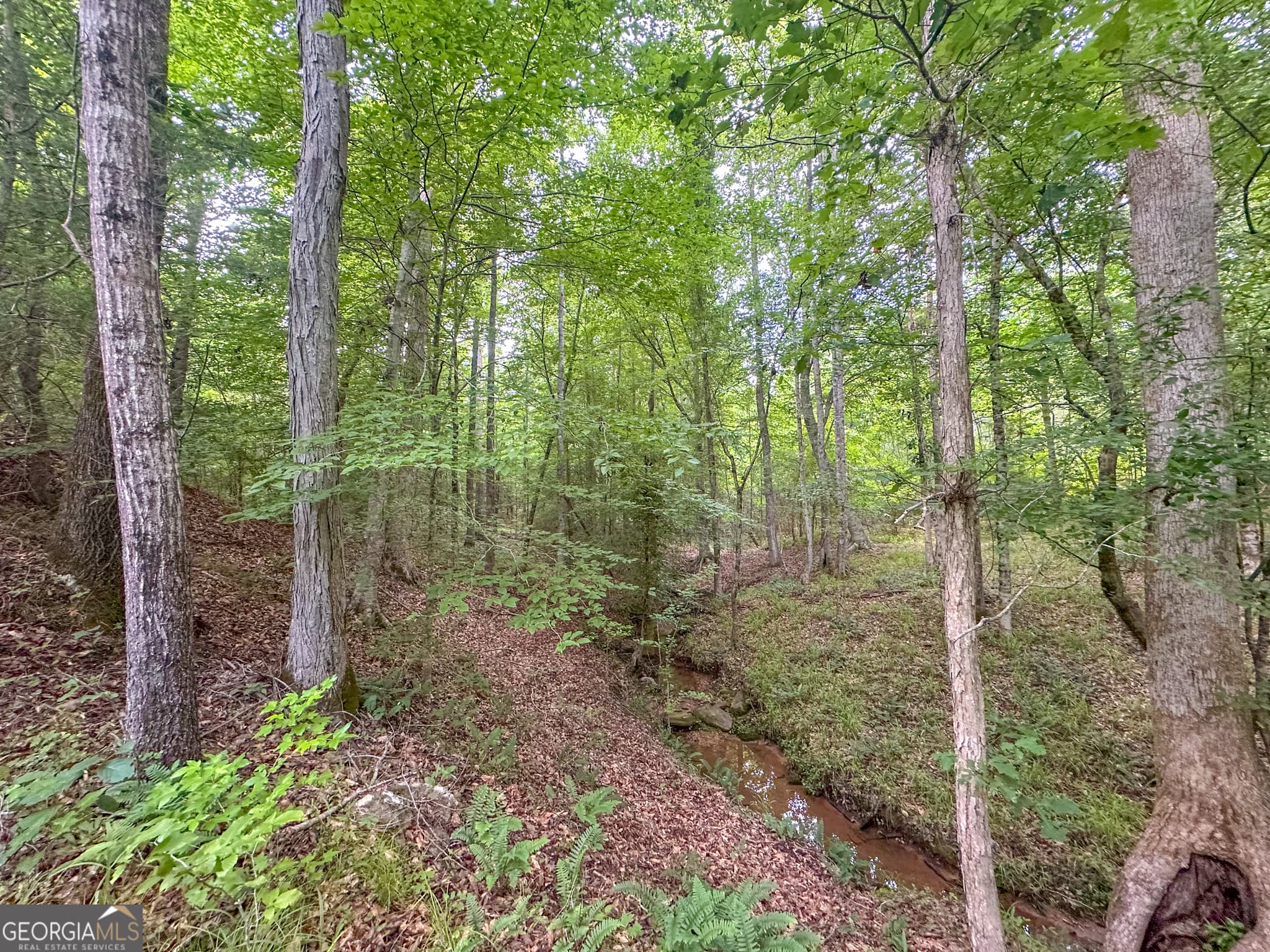 residential lot for sale at 3644-3792 Fortune Hole Road, Hamilton, GA 31811 — photo 4