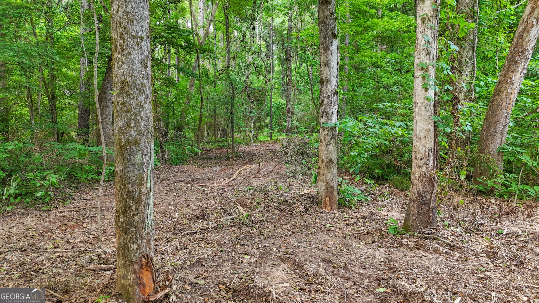 residential lot for sale at 3644-3792 Fortune Hole Road, Hamilton, GA 31811 — photo 8