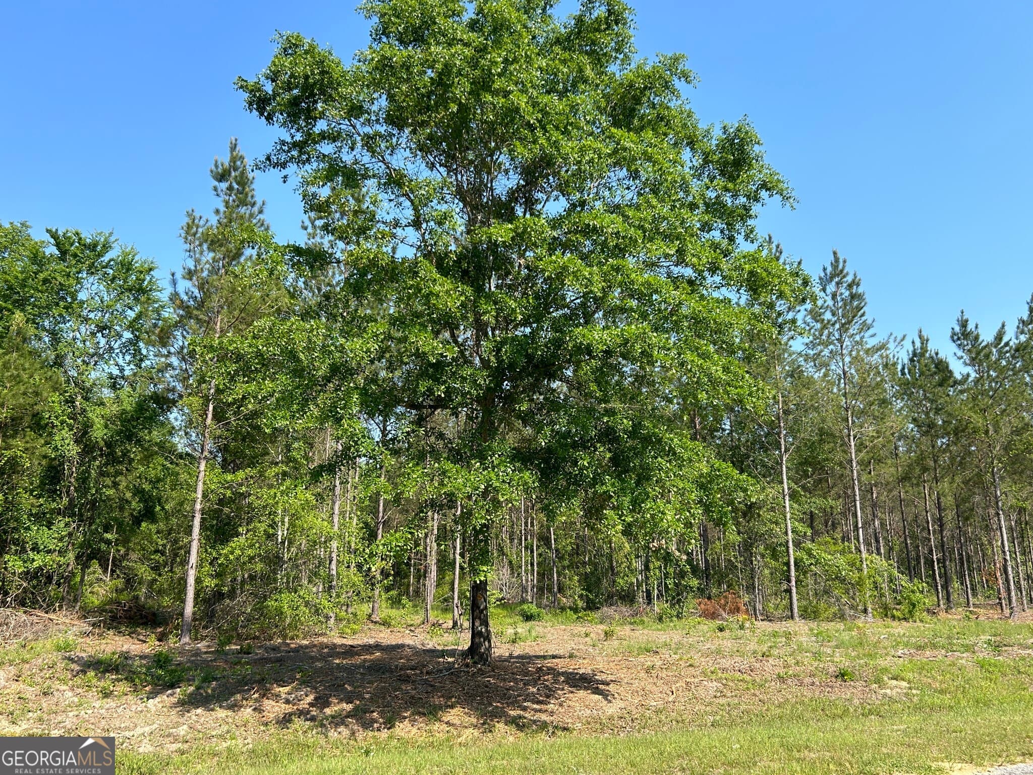 residential lot for sale at 0 Dewey Thomas Road LOT 1, Dexter, GA 31019 — photo 6