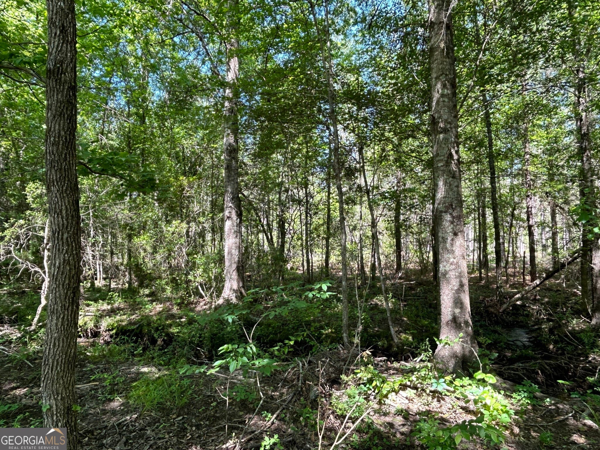 residential lot for sale at 0 Dewey Thomas Road LOT 1, Dexter, GA 31019 — photo 7
