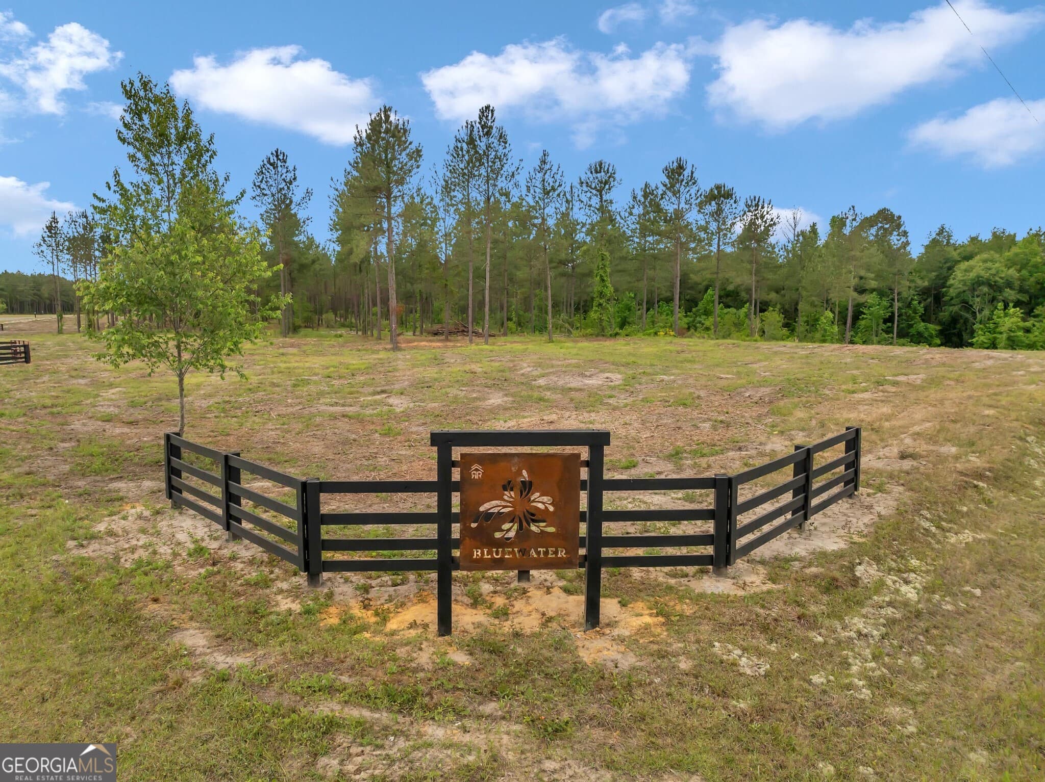 residential lot for sale at 0 Dewey Thomas Road LOT 1, Dexter, GA 31019 — photo 5
