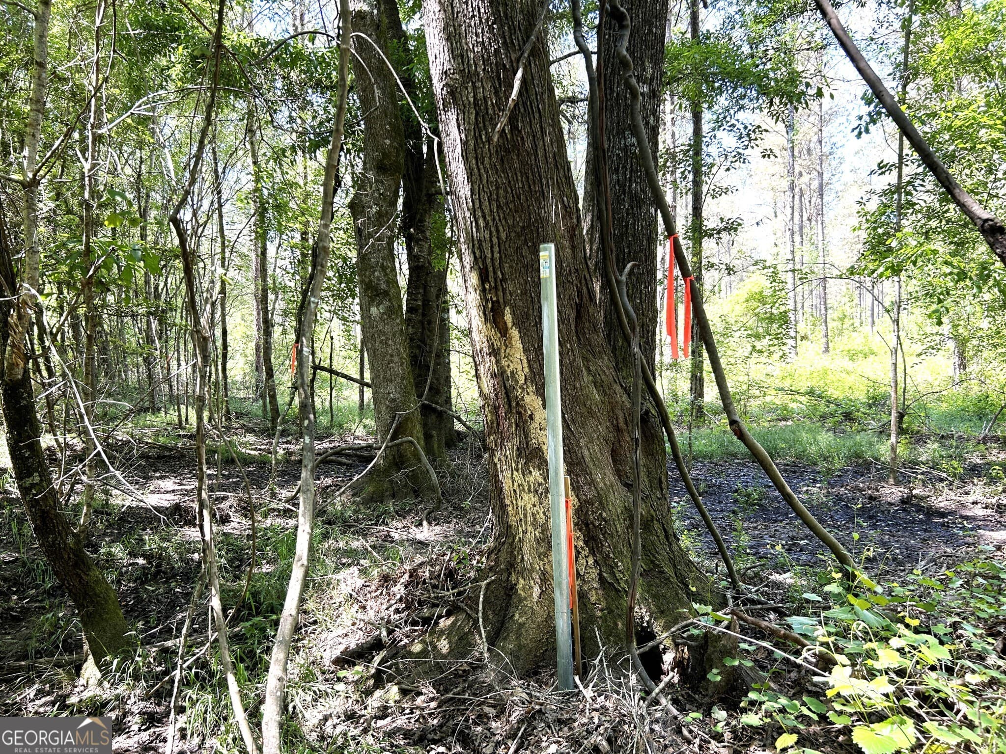 residential lot for sale at 0 Dewey Thomas Road LOT 1, Dexter, GA 31019 — photo 9