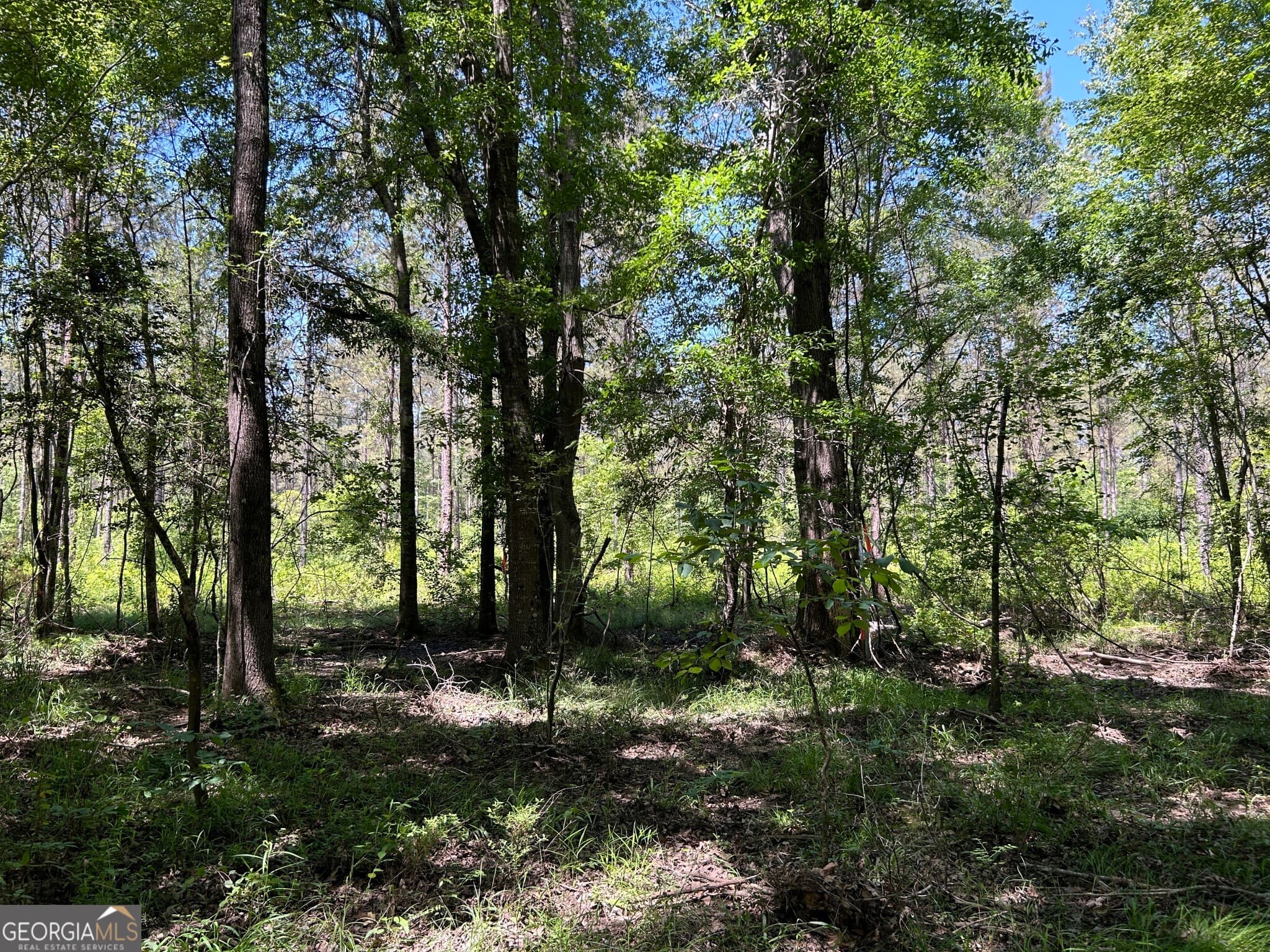 residential lot for sale at 0 Dewey Thomas Road LOT 1, Dexter, GA 31019 — photo 10
