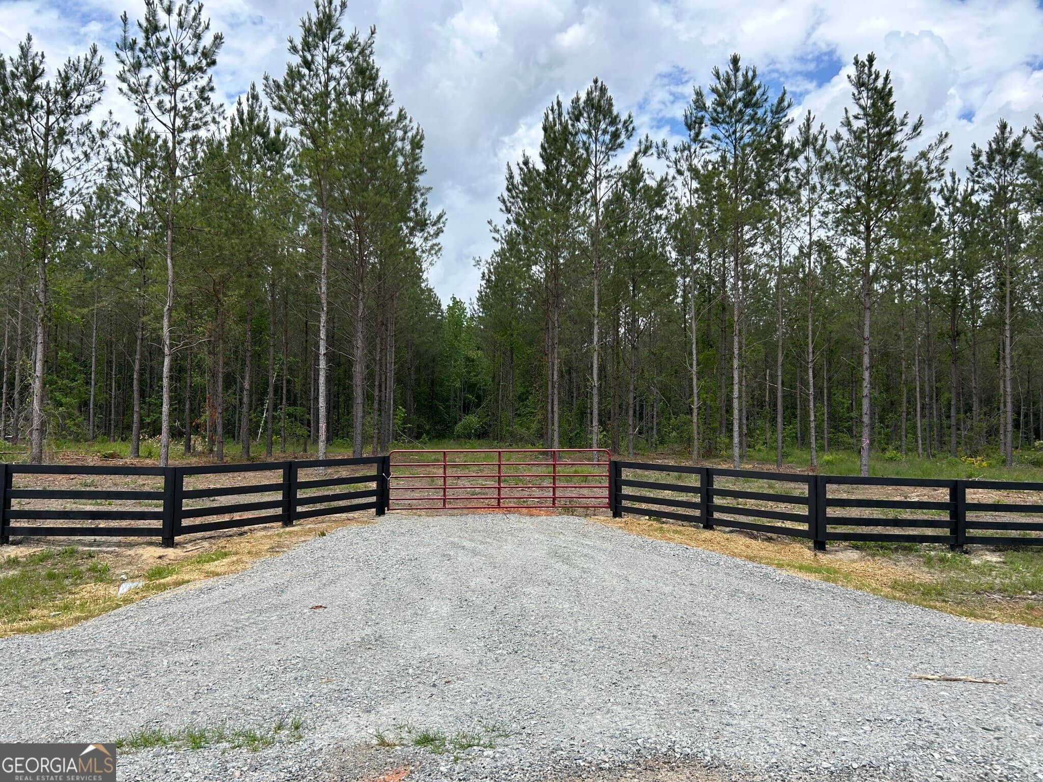 residential lot for sale at 0 Dewey Thomas Road LOT 1, Dexter, GA 31019 — photo 4