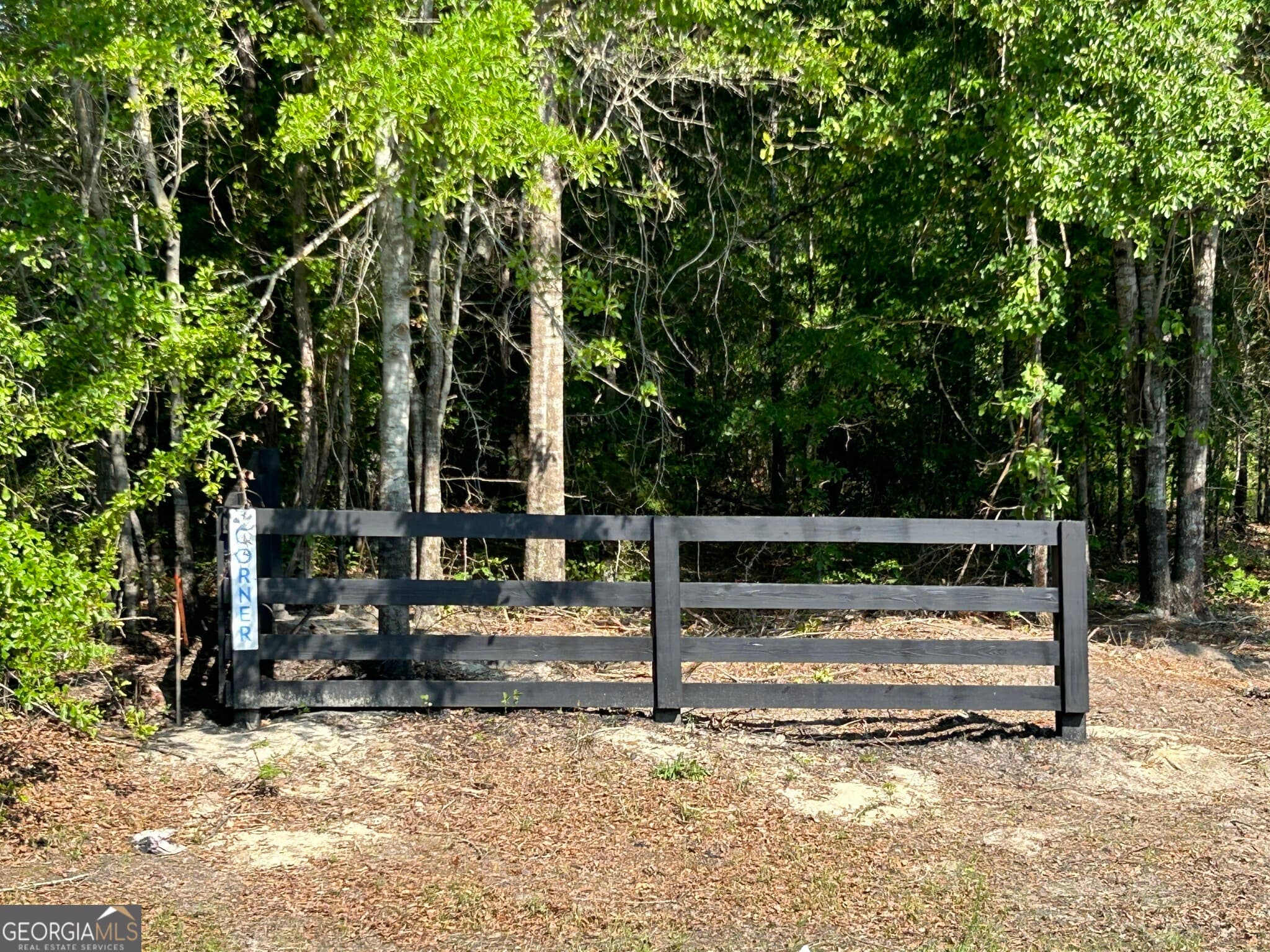 residential lot for sale at 0 Dewey Thomas Road LOT 1, Dexter, GA 31019 — photo 8