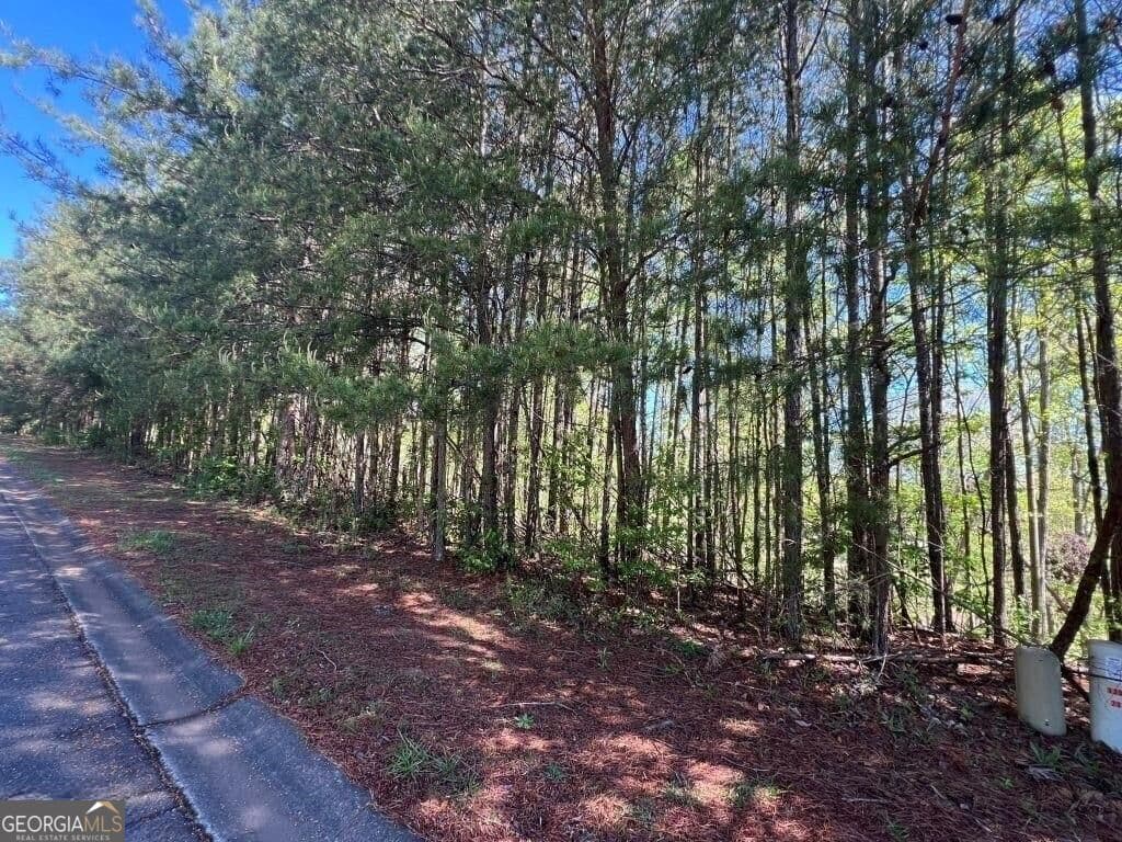 unimproved land for sale at 922 Whistler Lane 67, Canton, GA 30114 — photo 6