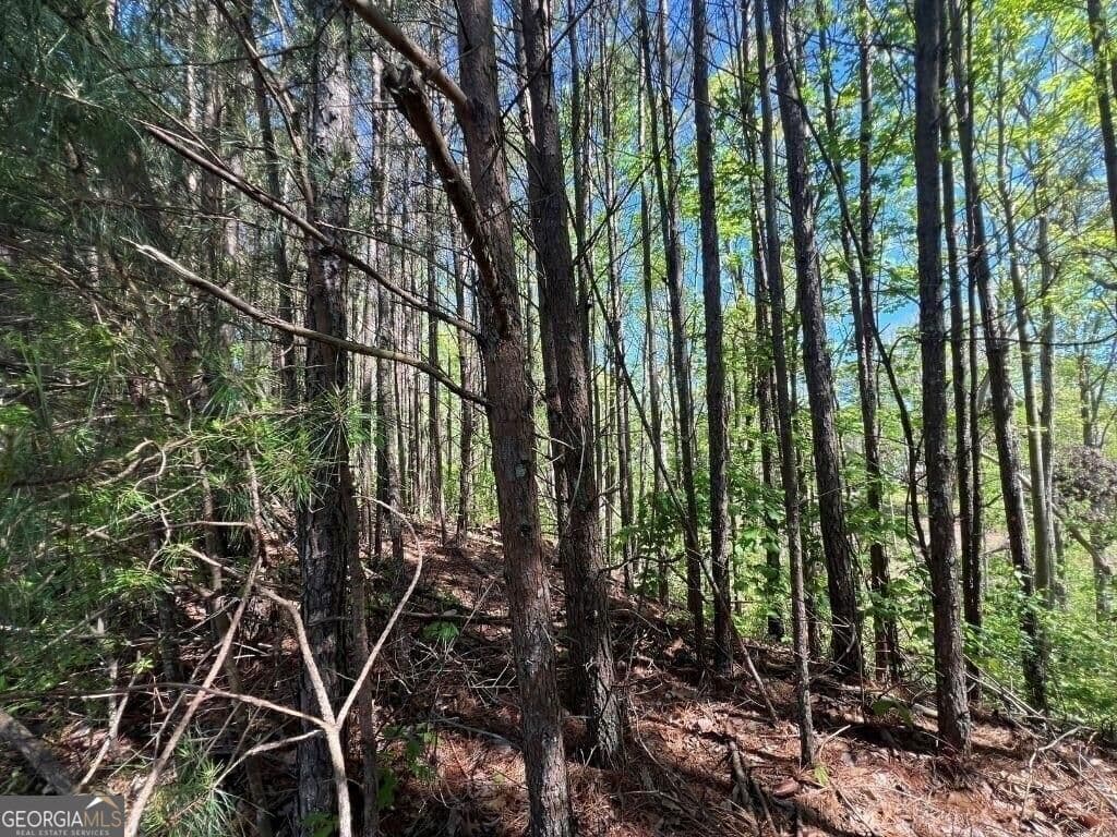 unimproved land for sale at 922 Whistler Lane 67, Canton, GA 30114 — photo 3