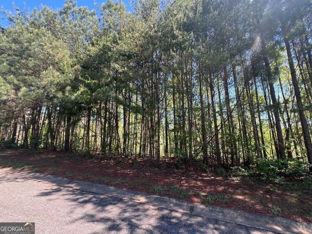 unimproved land for sale at 922 Whistler Lane 67, Canton, GA 30114 — photo 1 of 8