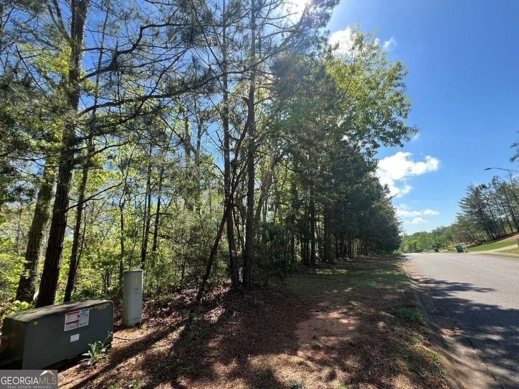 unimproved land for sale at 922 Whistler Lane 67, Canton, GA 30114 — photo 5