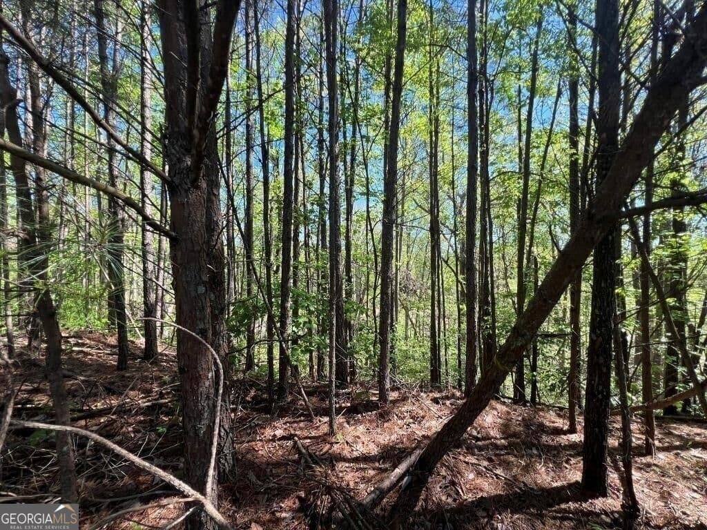 unimproved land for sale at 922 Whistler Lane 67, Canton, GA 30114 — photo 4