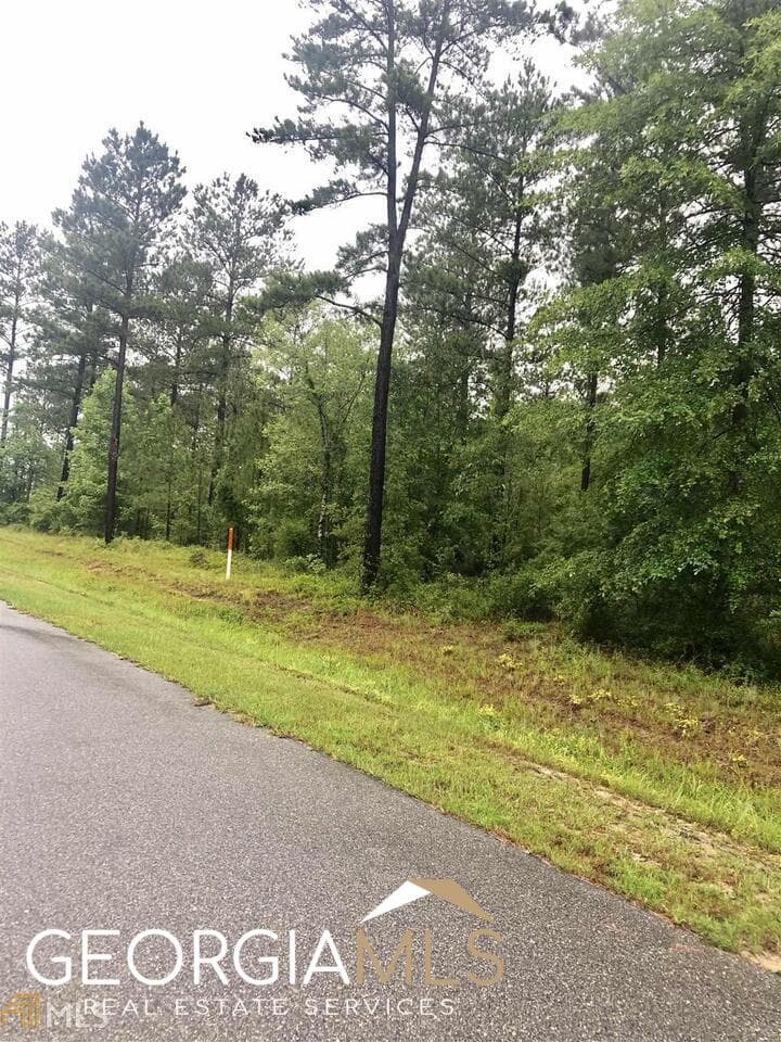 residential lot for sale at 0 Apalachicola Trail LOT 41, Dublin, GA 31021 — photo 2