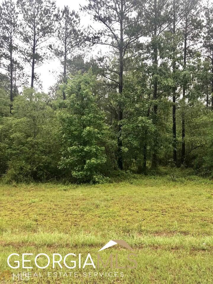 residential lot for sale at 0 Apalachicola Trail LOT 41, Dublin, GA 31021 — photo 6