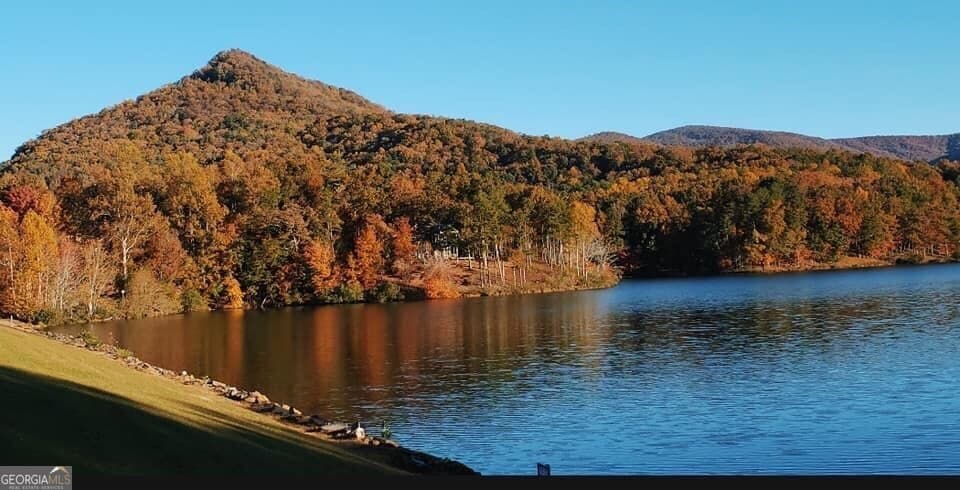 unimproved land for sale at 0 Shadowick Mountain Road, Jasper, GA 30143 — photo 2