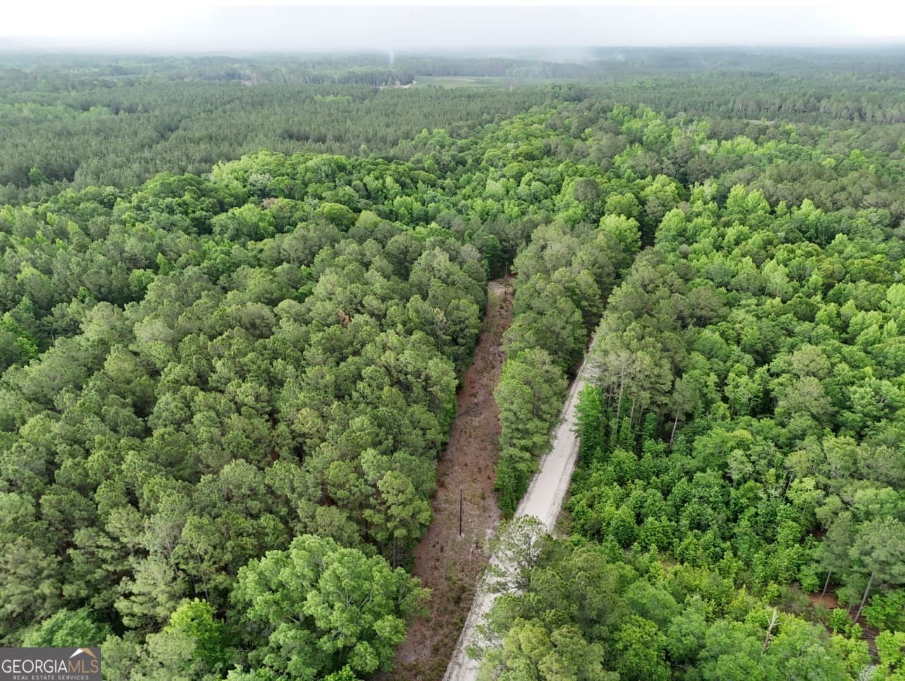 agriculture for sale at 0 Duck Pond Road, Sylvania, GA 30467 — photo 2