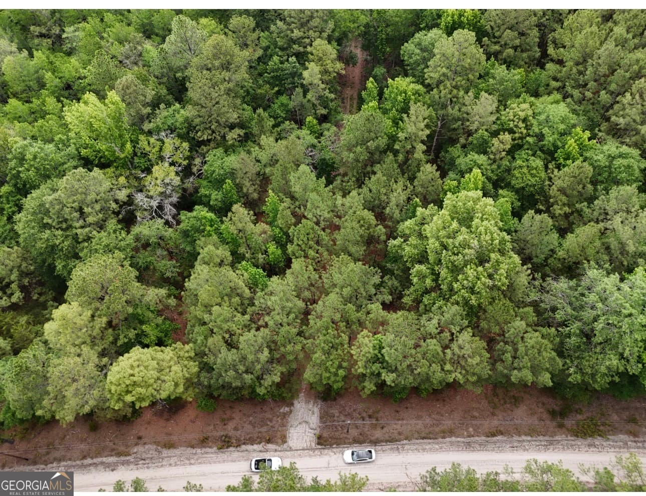 agriculture for sale at 0 Duck Pond Road, Sylvania, GA 30467 — photo 6