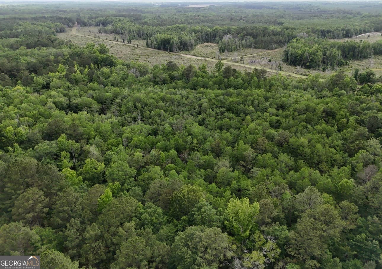 agriculture for sale at 0 Duck Pond Road, Sylvania, GA 30467 — photo 7