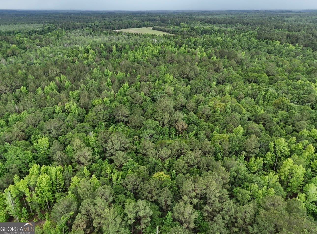 agriculture for sale at 0 Duck Pond Road, Sylvania, GA 30467 — photo 3