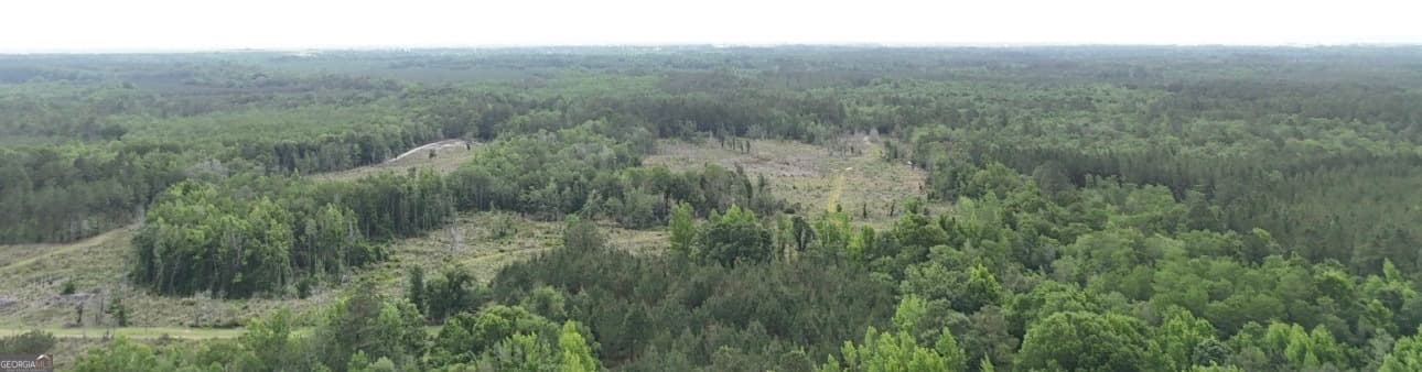 agriculture for sale at 0 Duck Pond Road, Sylvania, GA 30467 — photo 5