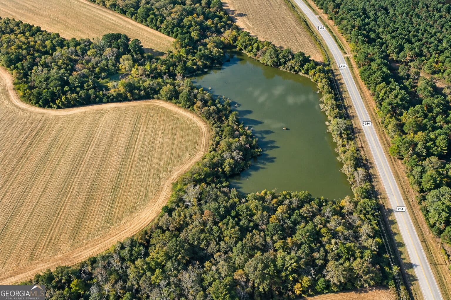agriculture for sale at 43.5 ACRES Cemetery Road, Rochelle, GA 31079 — photo 2