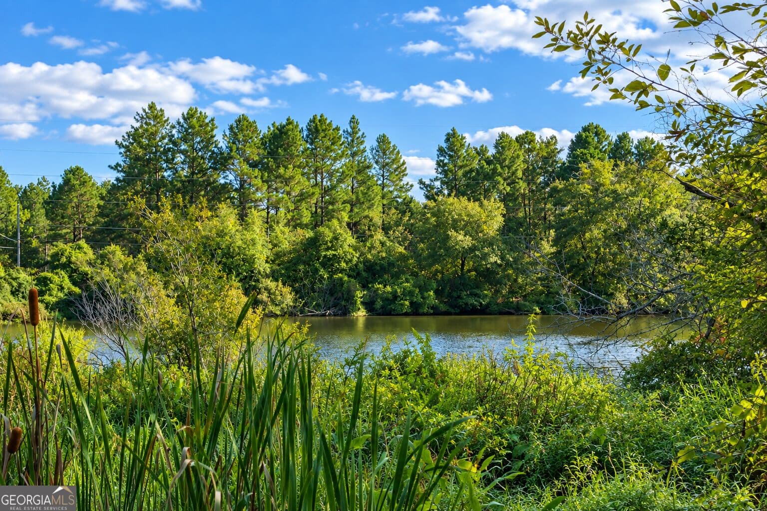 agriculture for sale at 43.5 ACRES Cemetery Road, Rochelle, GA 31079 — photo 6